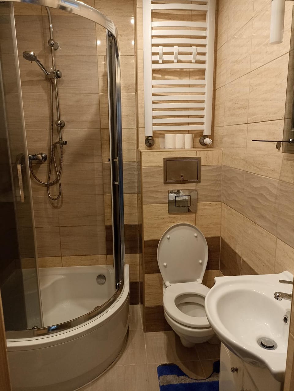 Shower, Toilet, Bathroom, towels