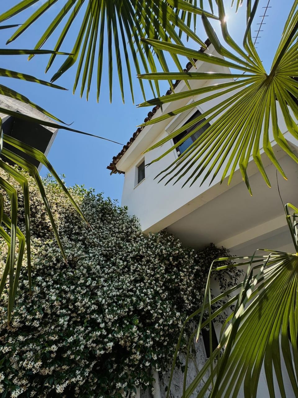 Day, Garden, Garden view