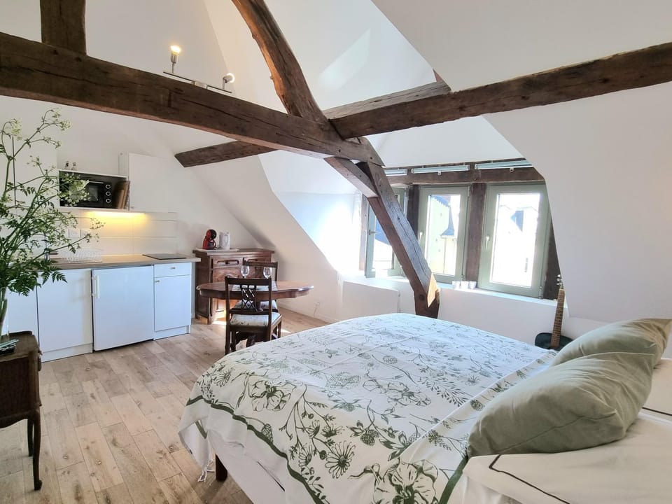 Bed, TV and multimedia, Kitchen or kitchenette, Living room, Photo of the whole room, Seating area, Bedroom