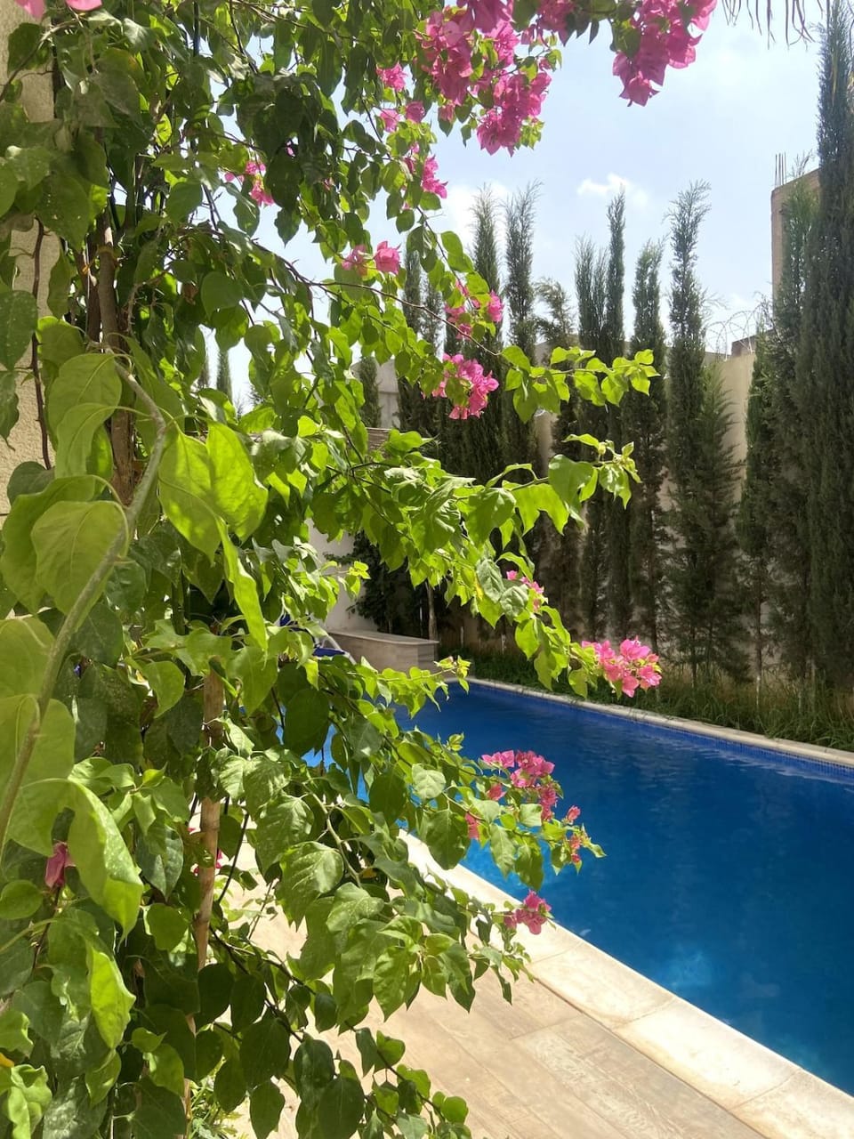 Villa avec piscine privée Alger sans vis à vie House in Algiers Province, Algeria