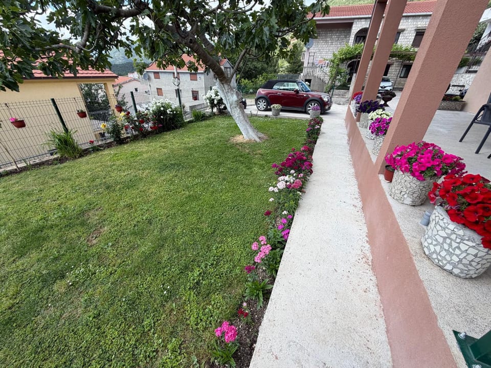 Spring, Day, Garden, Garden view