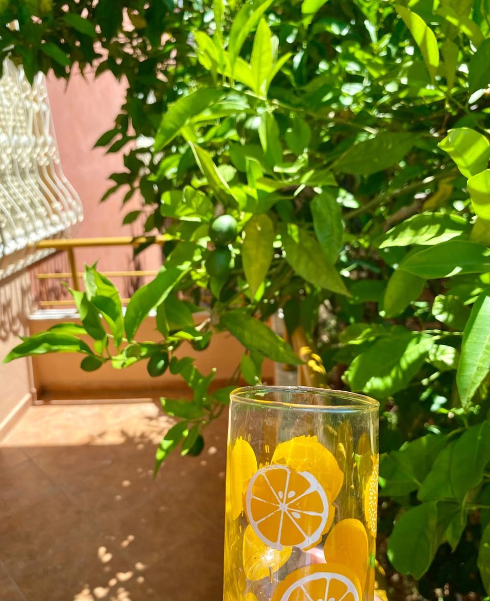 The Citrus Tree Apartments Apartment in Vlorë