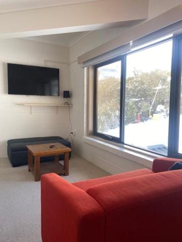 Snowland Apartment 2 Apartment in Falls Creek