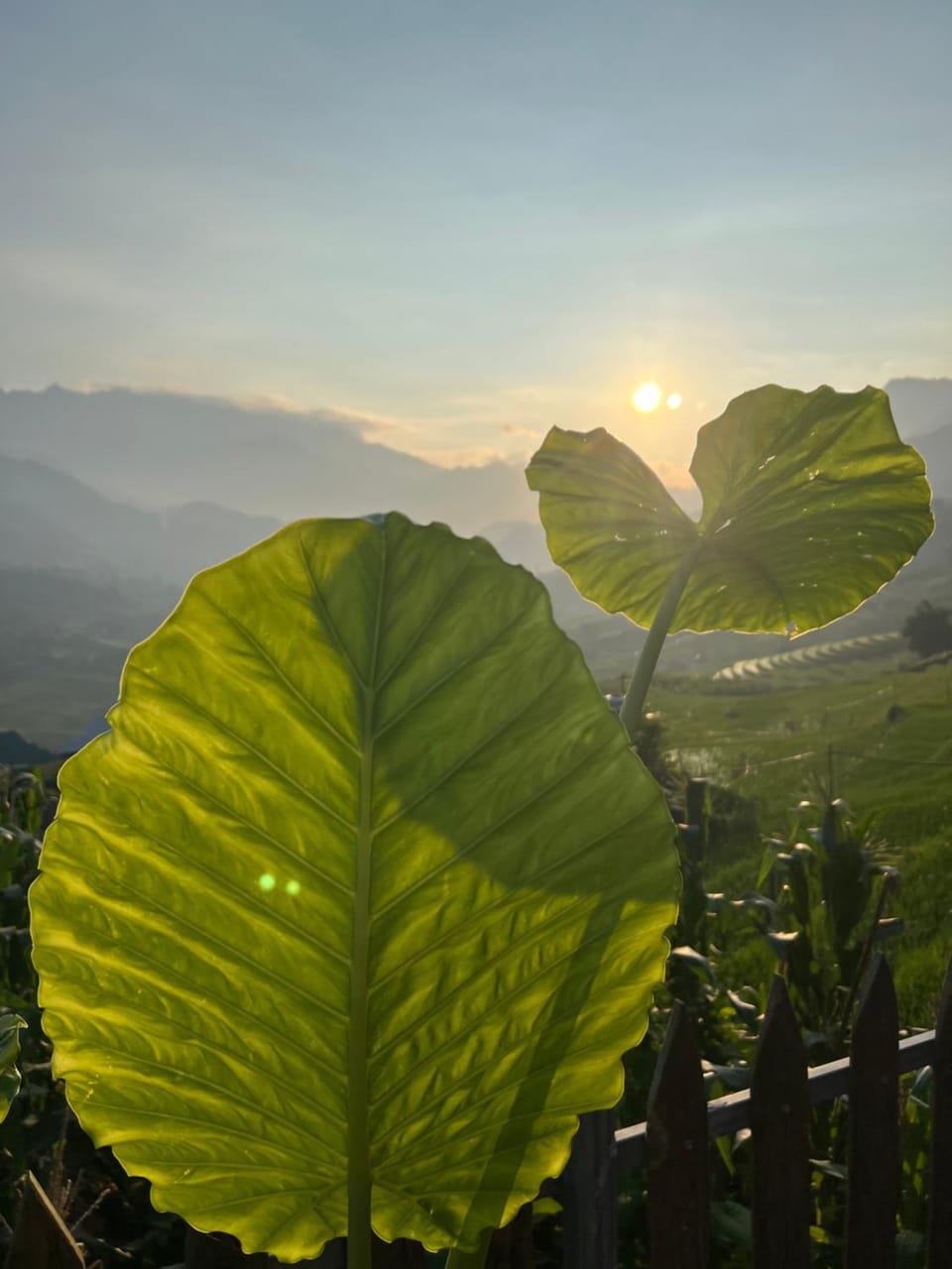 Traditional Hmong House Among Rice Fields Apartment in Vietnam