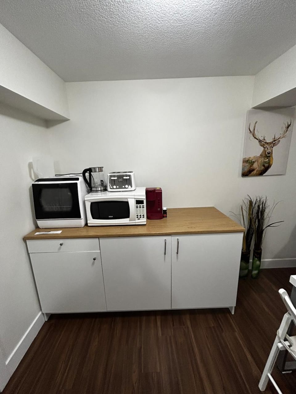 Entire 1 bedroom basement suite with Kitchenette and Laundry Apartment in Edmonton