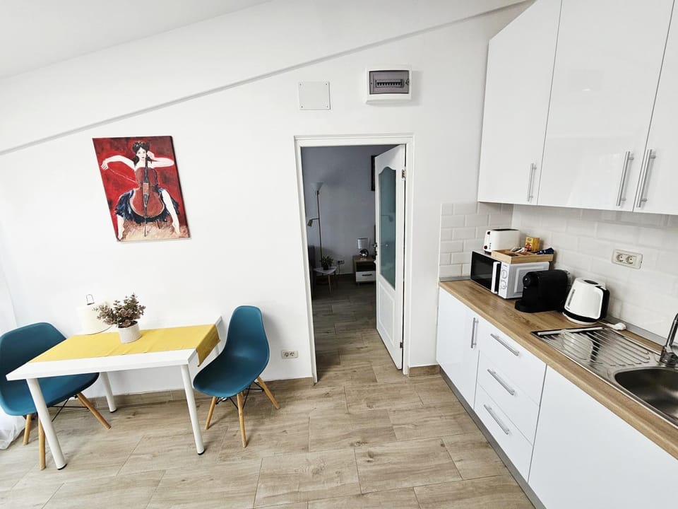Cismigiu Downtown Studios - POP8 Apartment in Bucharest