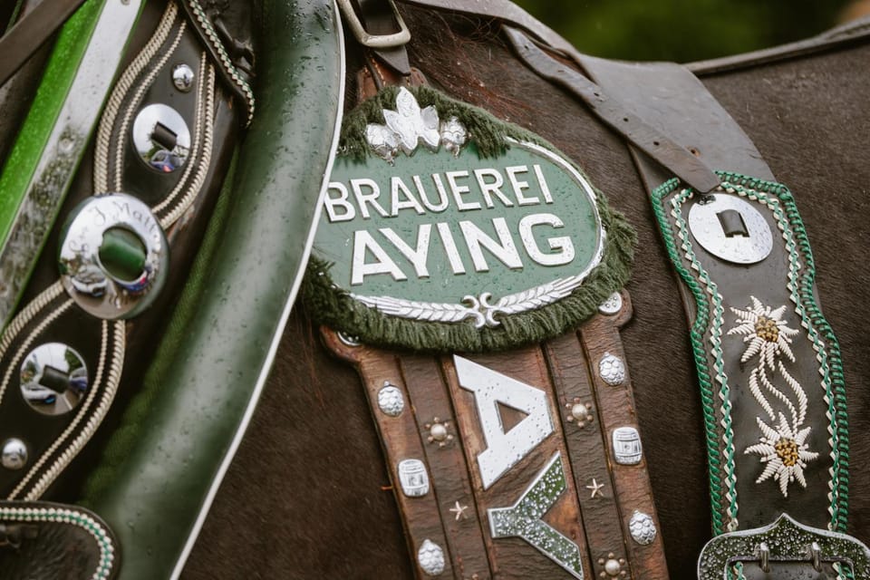 Logo/Certificate/Sign