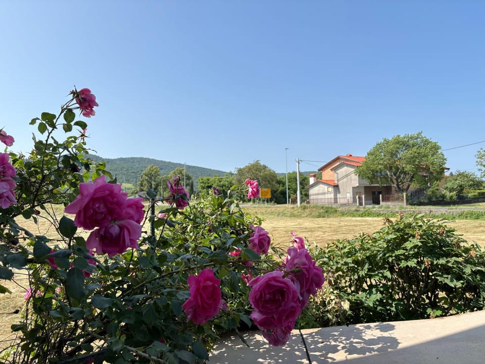 Garden, Garden view