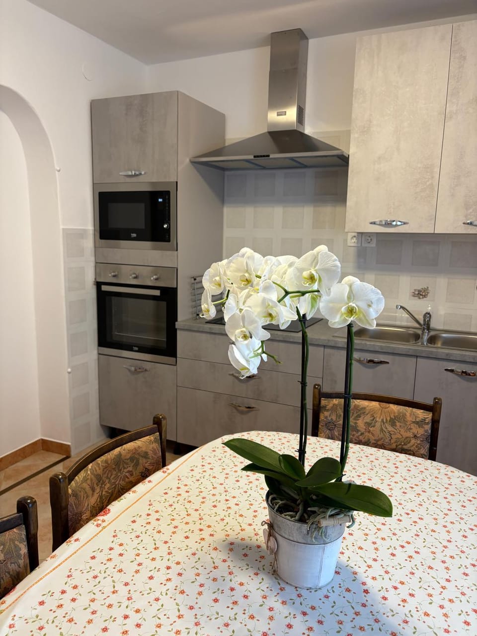 Kitchen or kitchenette, Dining area, oven