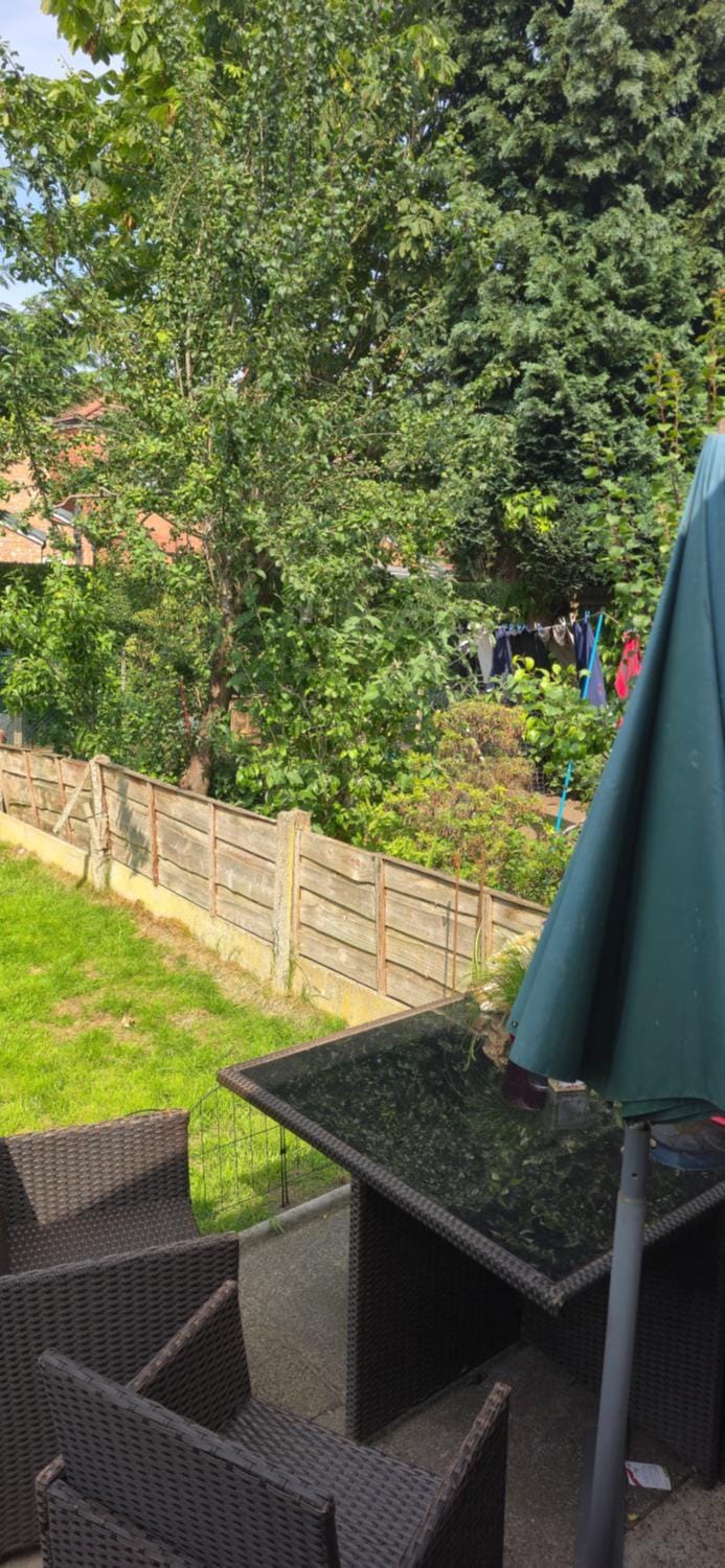 Patio, Garden, Garden view