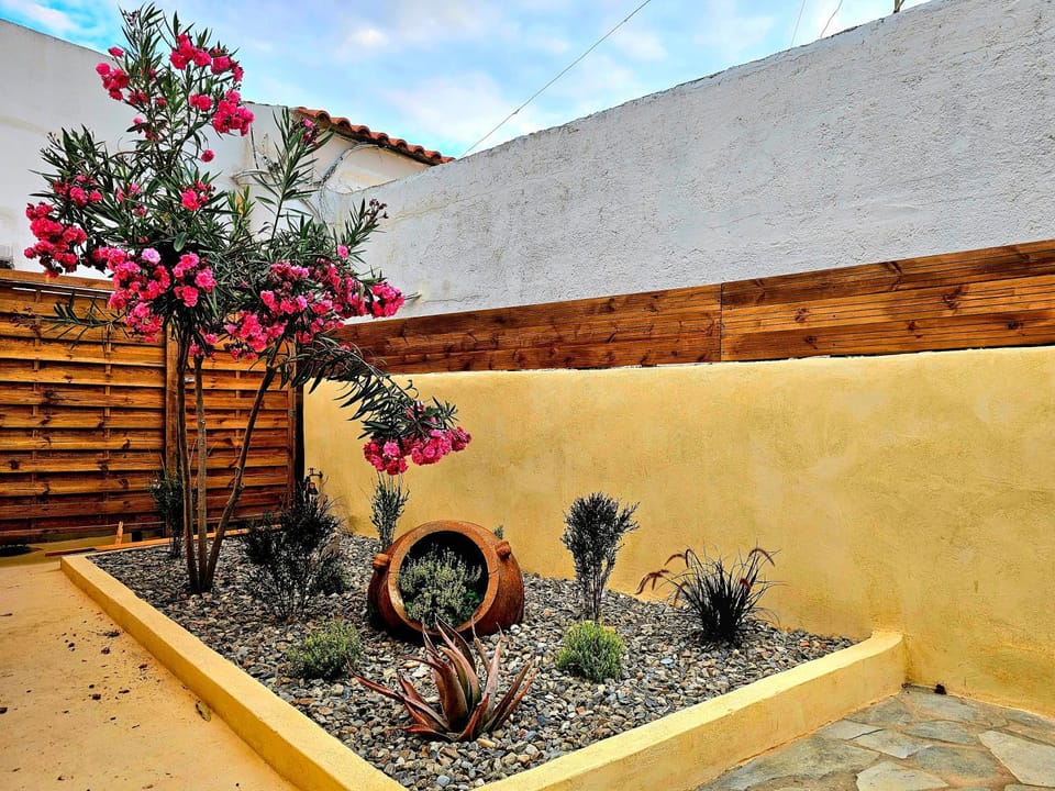 Day, Garden