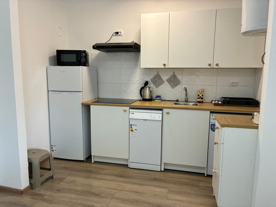 Kitchen or kitchenette, dishwasher, stove