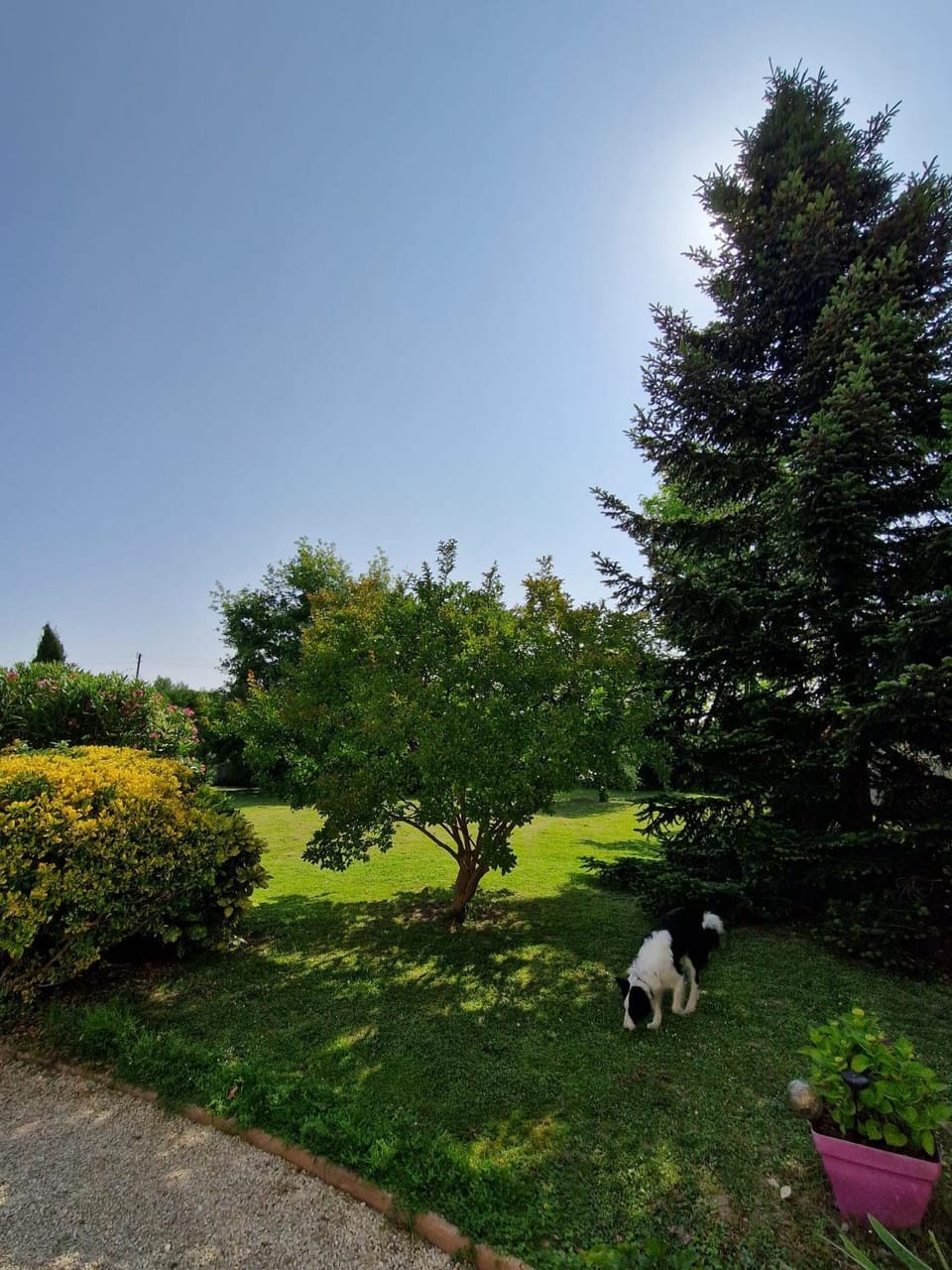 Natural landscape, Garden, Garden view