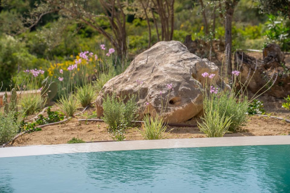 Spring, Day, Natural landscape, Garden, Garden view, Pool view, Swimming pool, Swimming pool