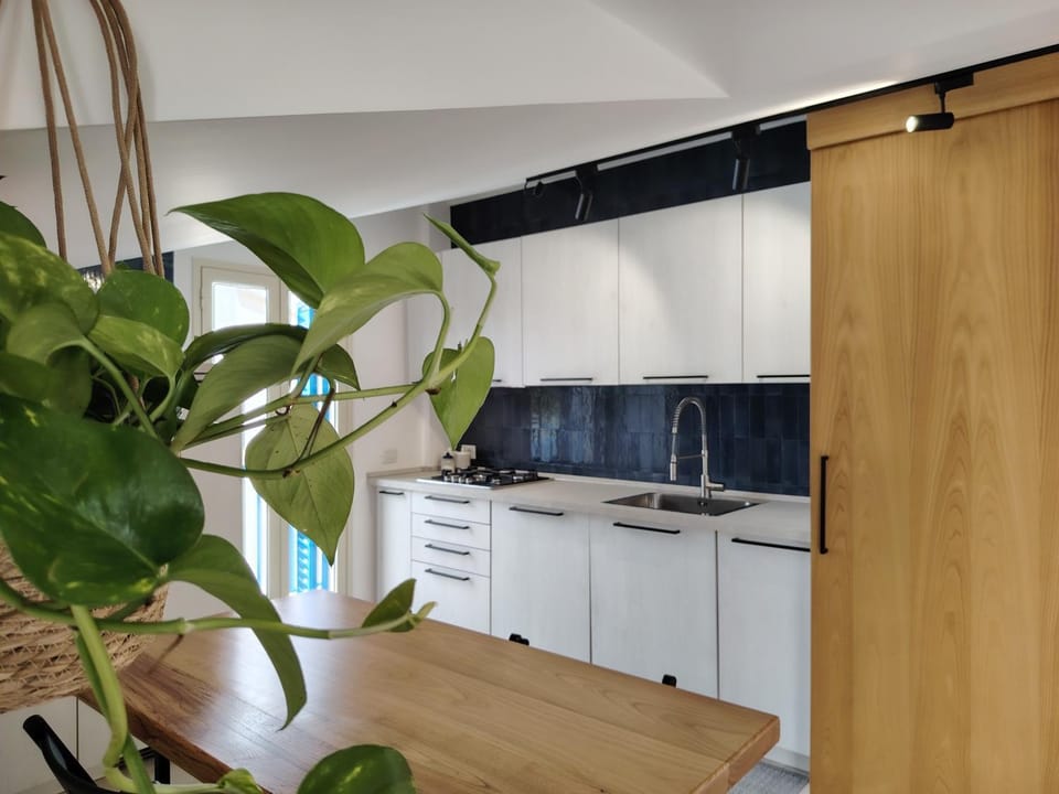 Kitchen or kitchenette, dishwasher, stove