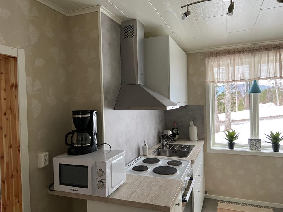 Kitchen or kitchenette, oven, pet friendly