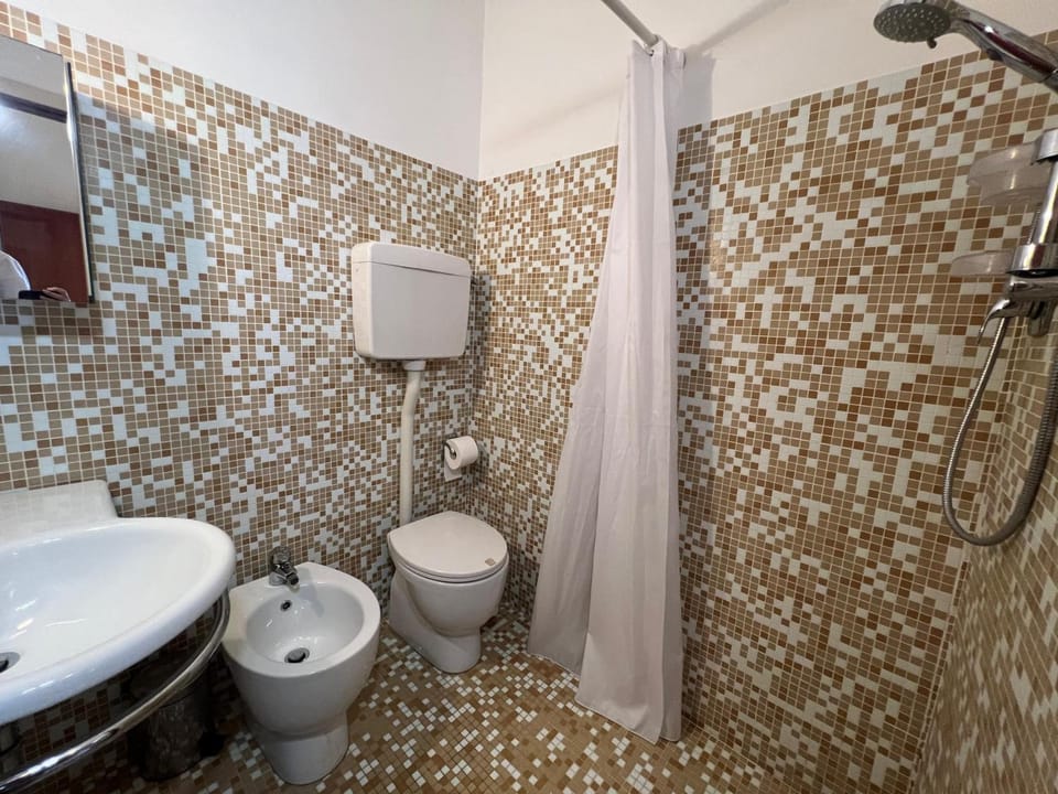 Shower, Toilet, Bathroom, bidet