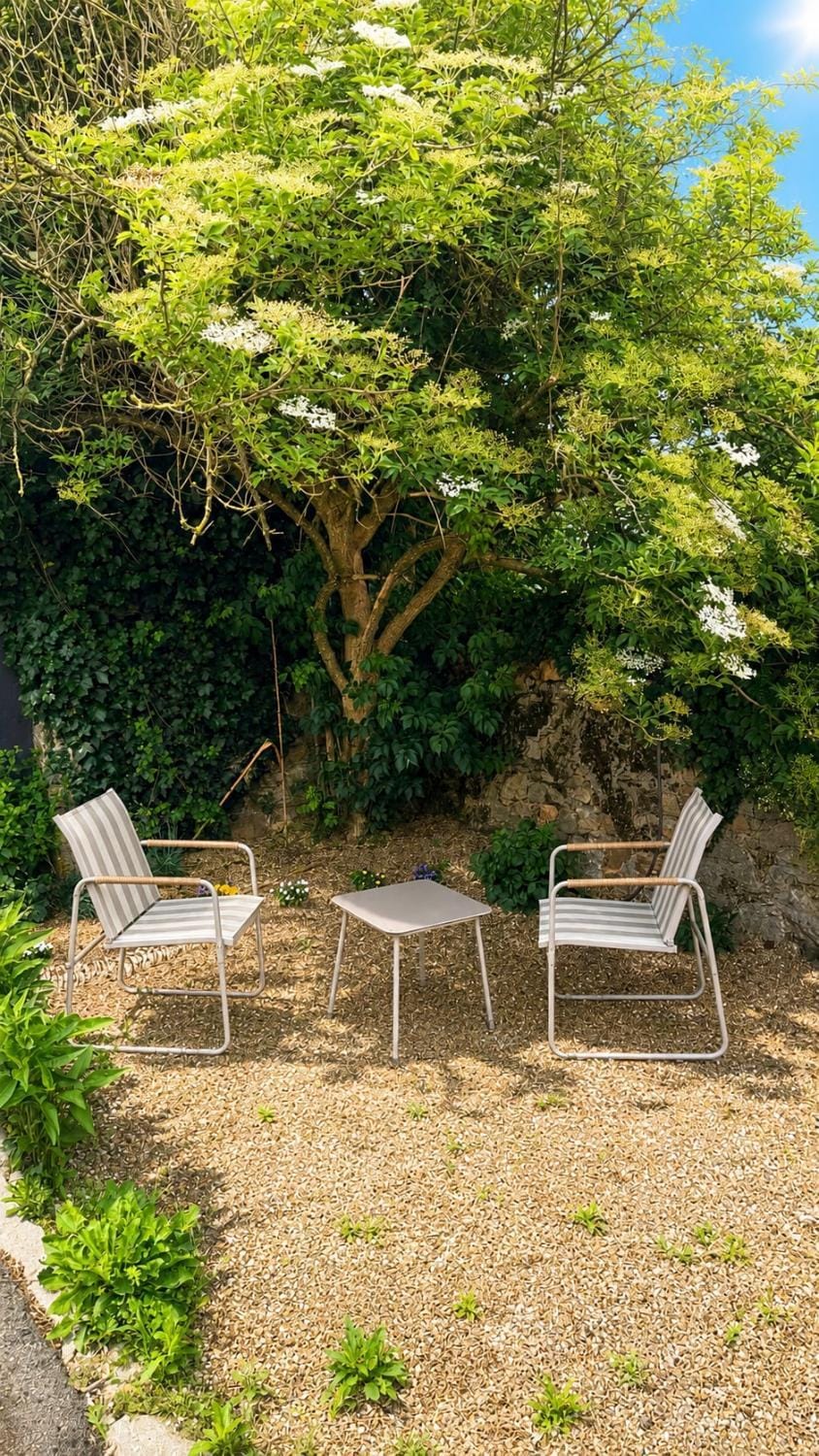Garden, Garden, Balcony/Terrace, sunbed