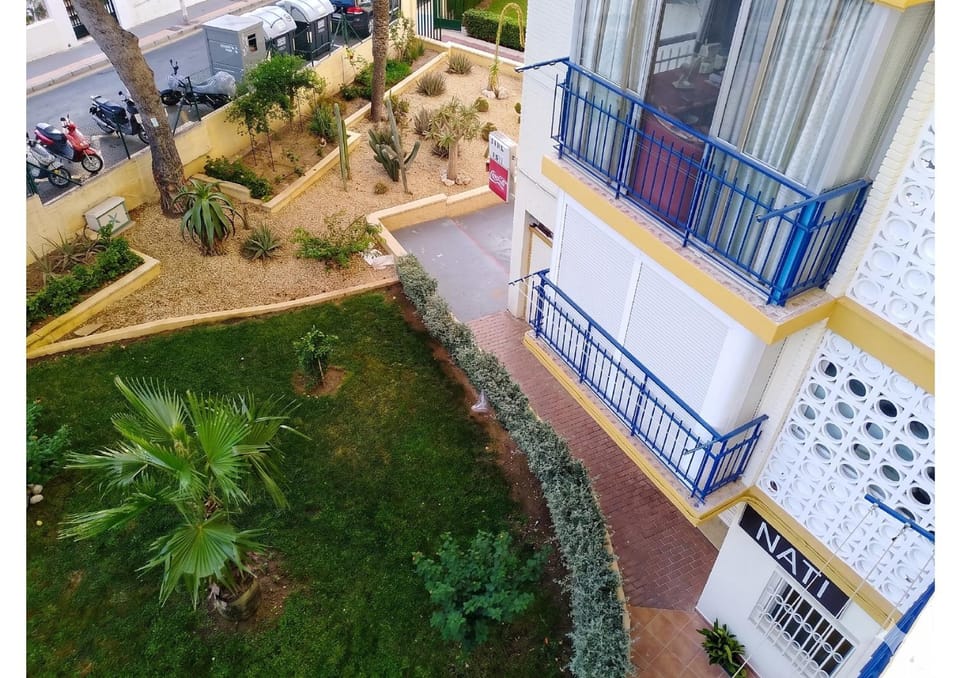 Garden view