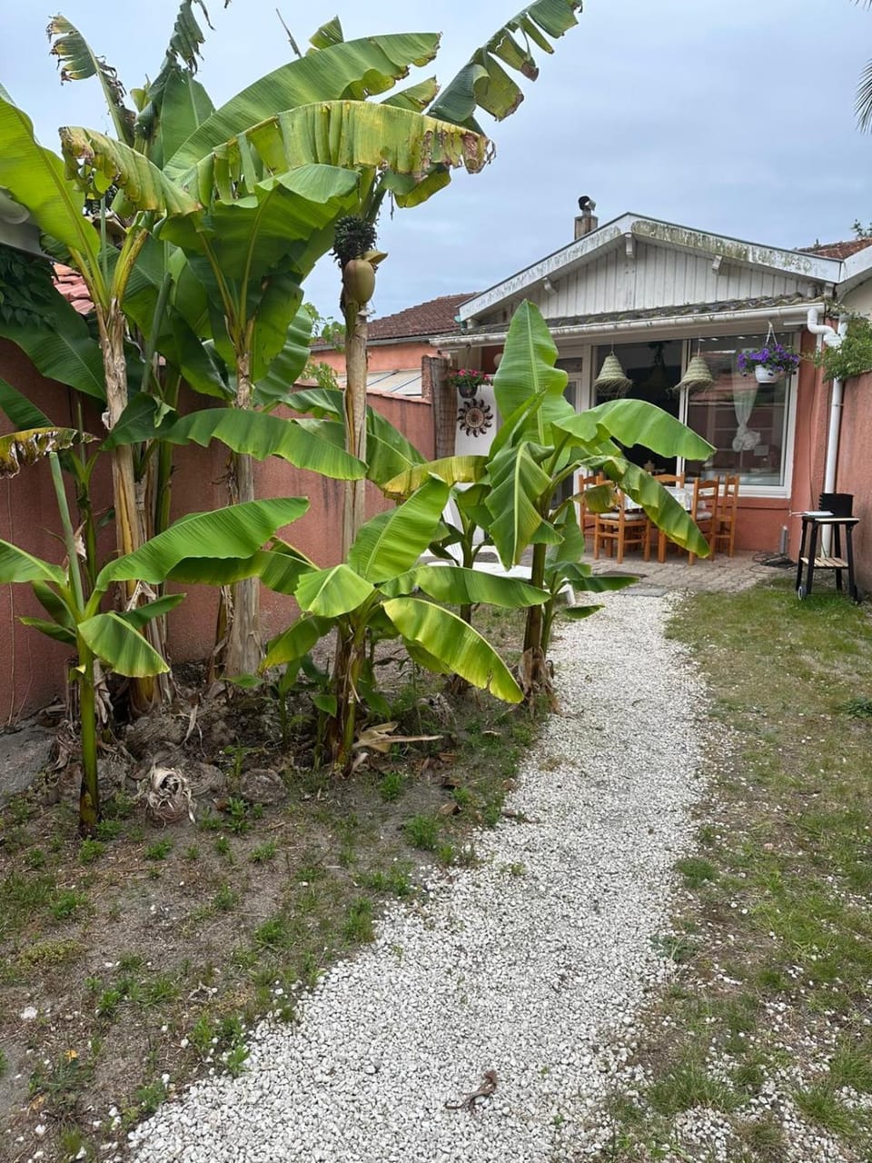 Property building, Spring, Garden, Garden view