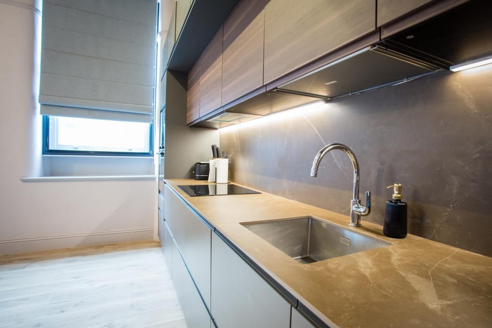 Kitchen or kitchenette, dishwasher