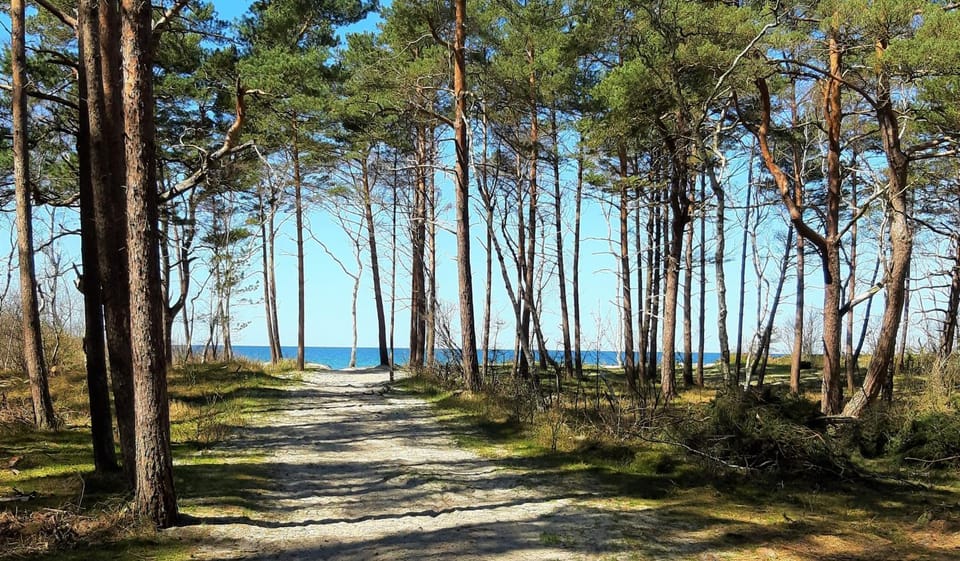 Natural landscape, Beach, Sea view