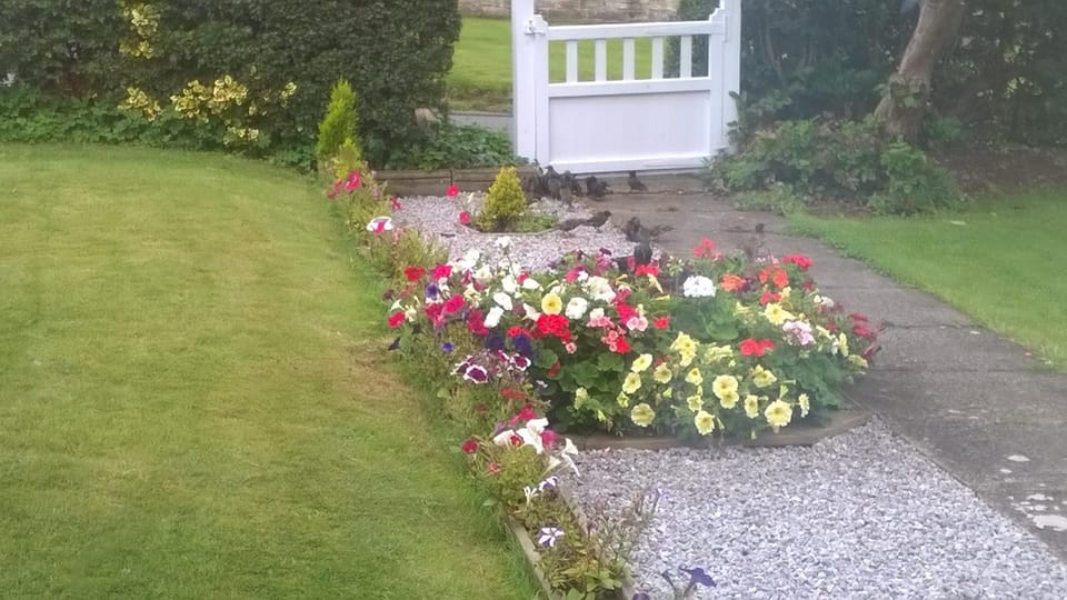 Lilac Farm Cottage Vacation rental in Borough of Harrogate