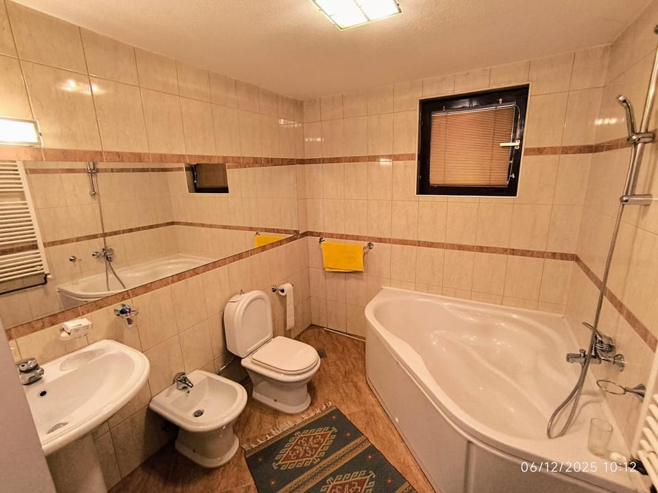 Toilet, Bathroom, Bath, bidet, towels