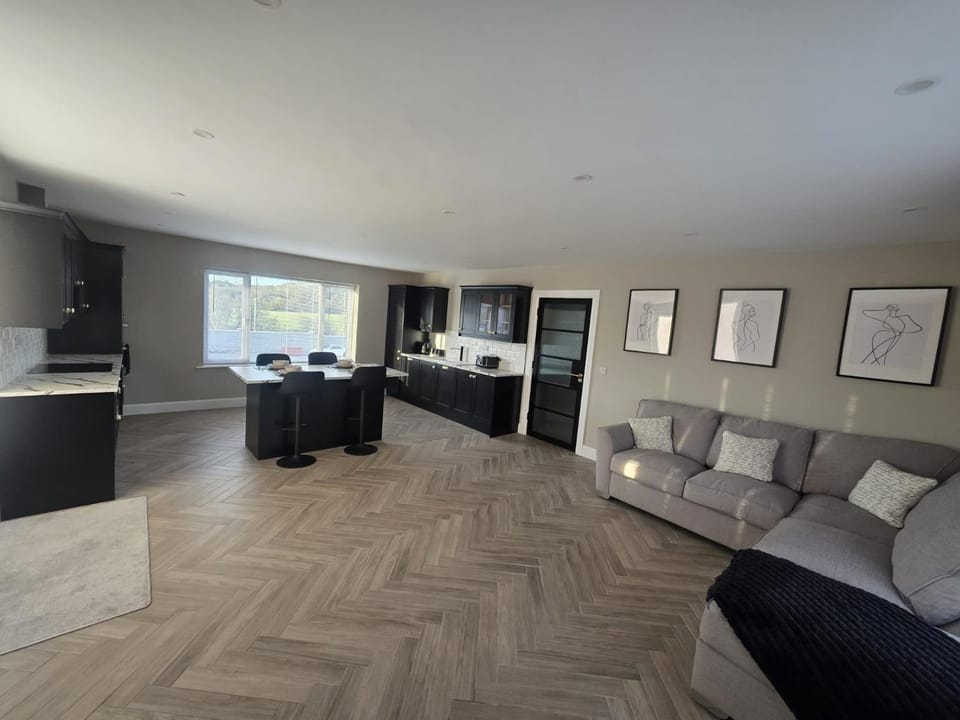 Kitchen or kitchenette, Living room, Seating area, Dining area