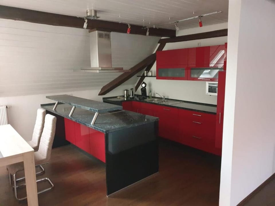 Large, modern family-friendly 4-room apartment Apartment in Baden-Württemberg