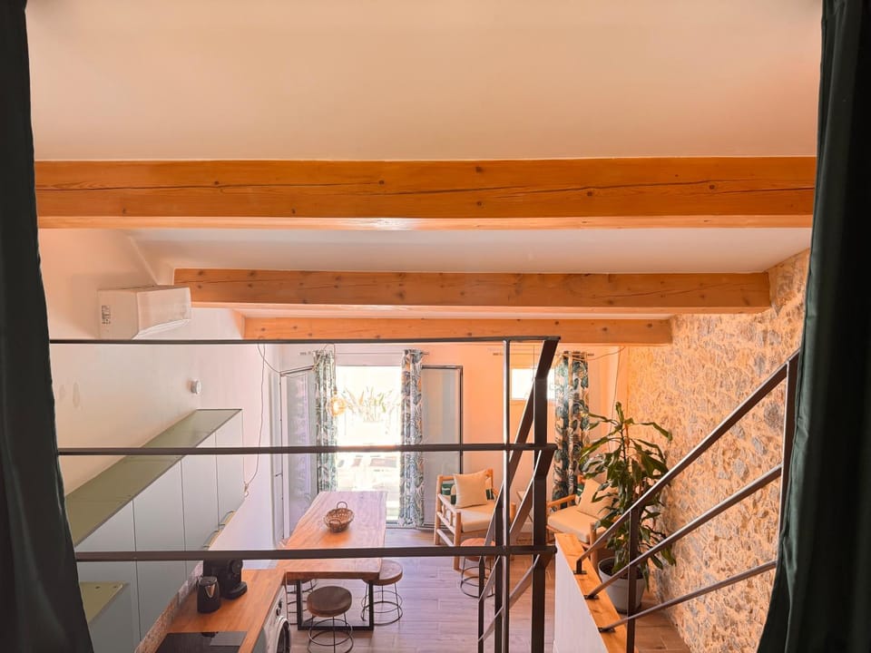 CB Cannes - JUNGLE Apartment in Cannes