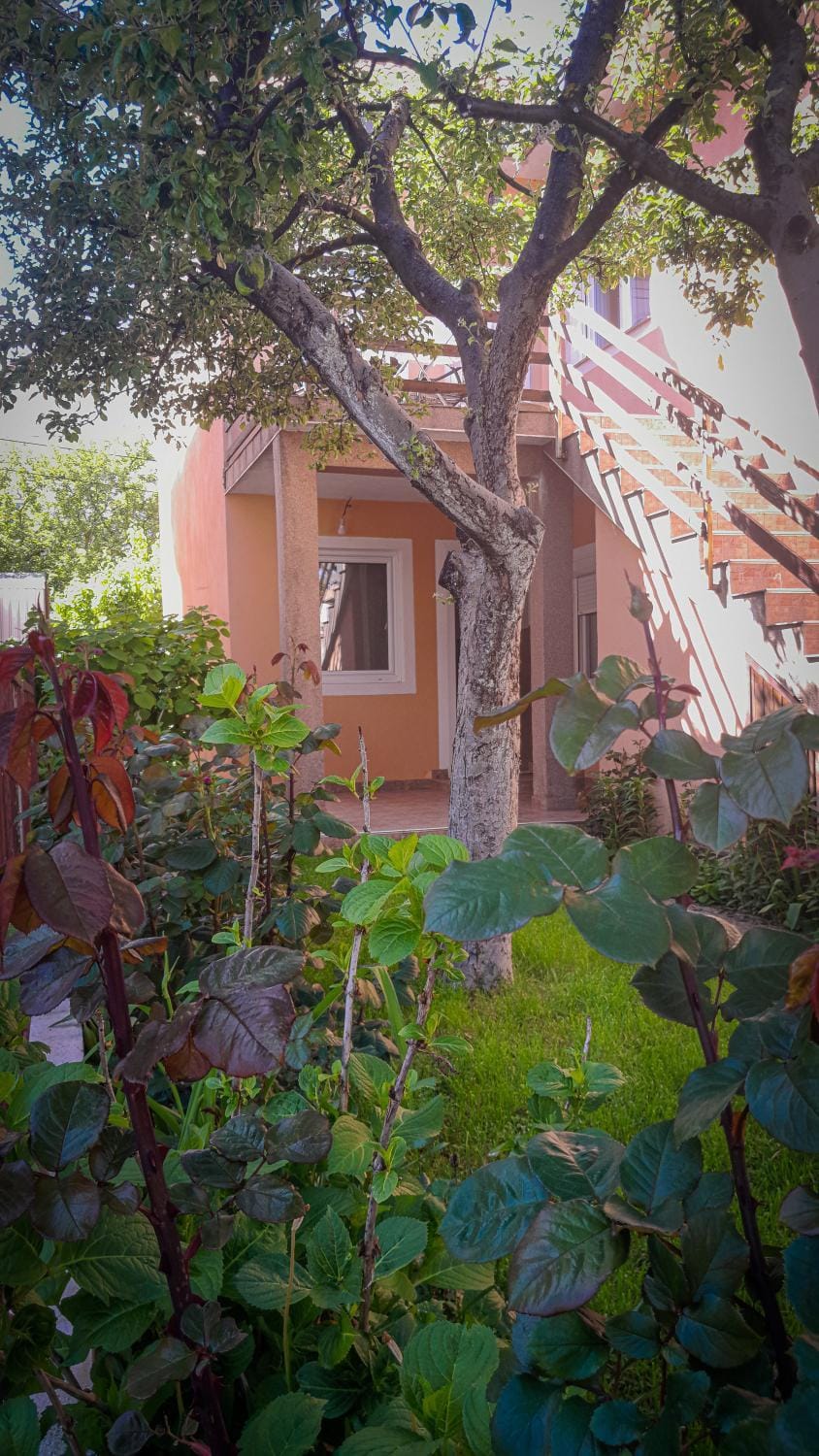 Property building, Garden view