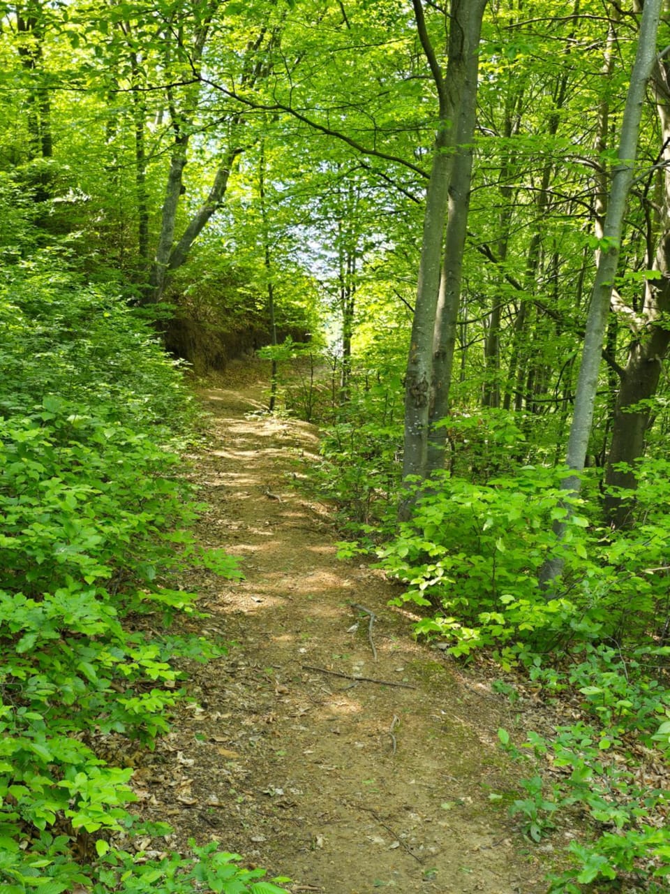 Hiking
