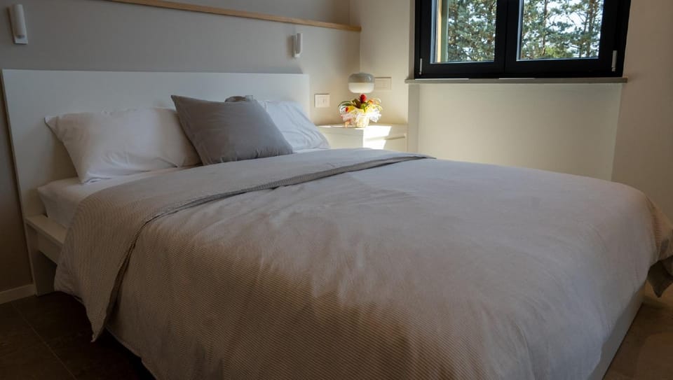 CASA NEDA Affitacamere Bed and Breakfast in Tuscany