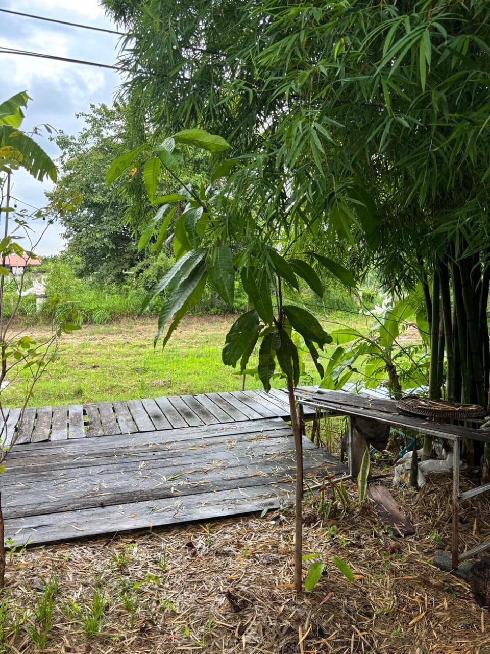 Rice Terrace Homestay House in Thailand