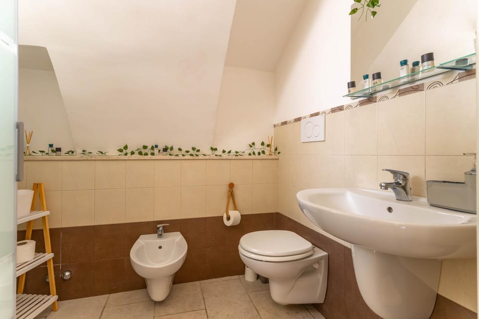 Toilet, Bathroom, bidet