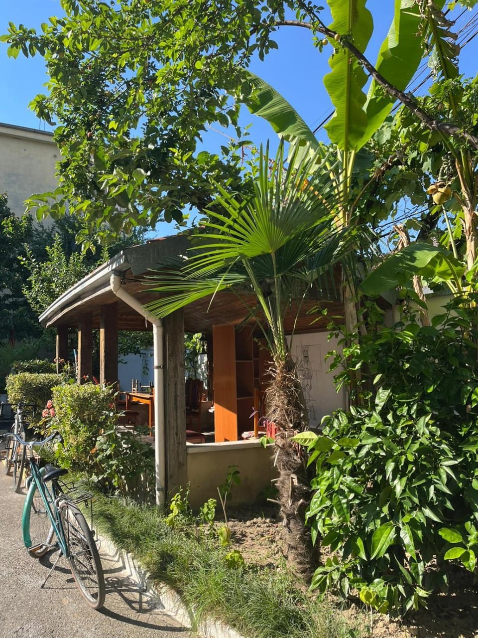 Traveler Hostel 2 Hostel in Montenegro