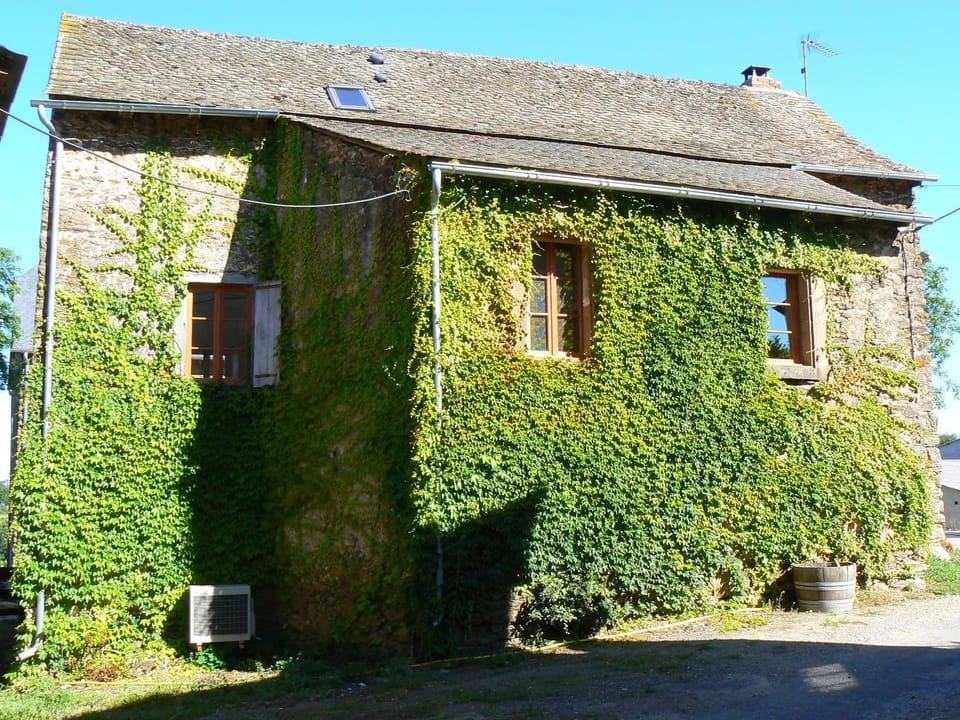 Property building, Spring