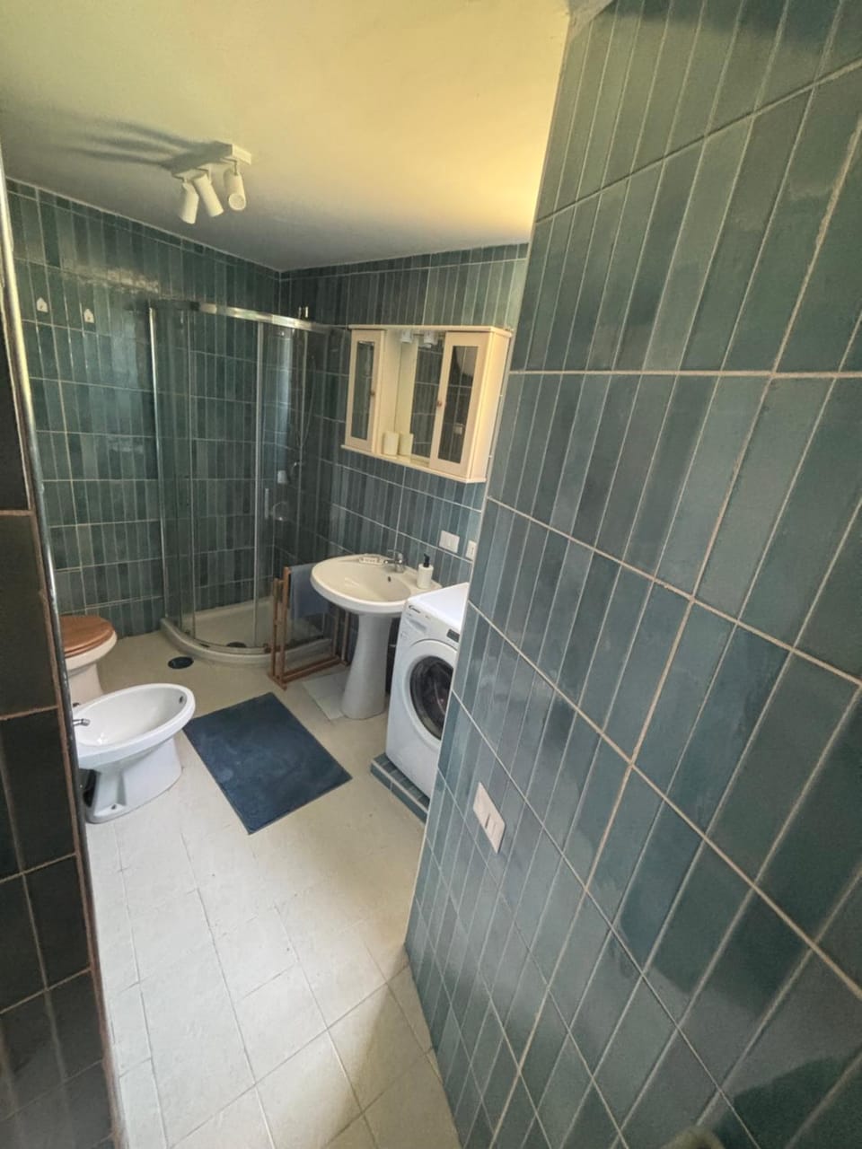 Shower, Toilet, Bathroom, washing machine