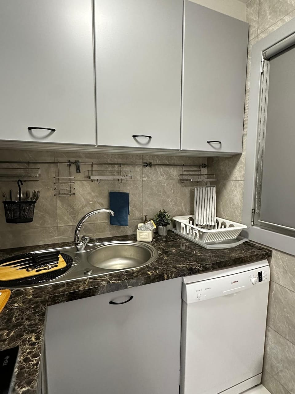 Kitchen or kitchenette, dishwasher