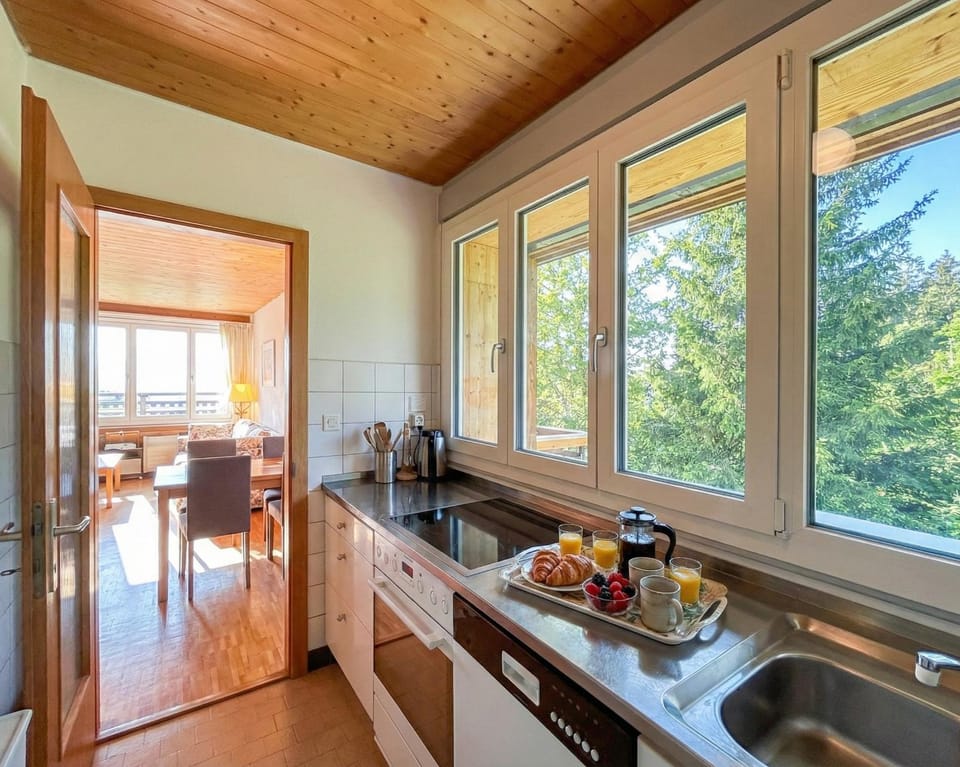 Kitchen or kitchenette, stove, stove, kitchen, kitchen