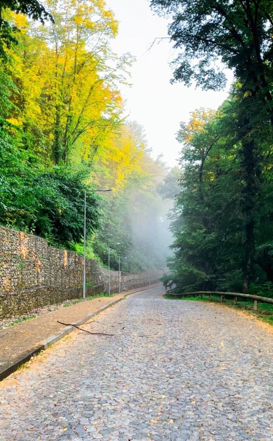 Neighbourhood, Natural landscape