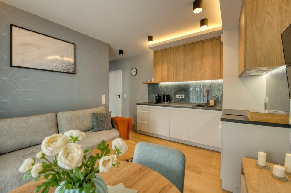 TV and multimedia, Kitchen or kitchenette, Living room, stove