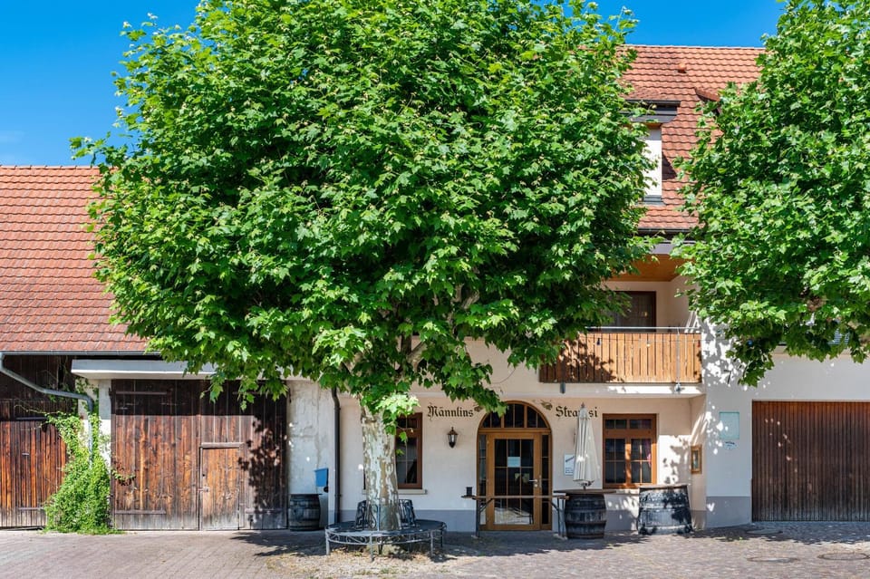 Haus Männlin Apartment in Baden-Württemberg