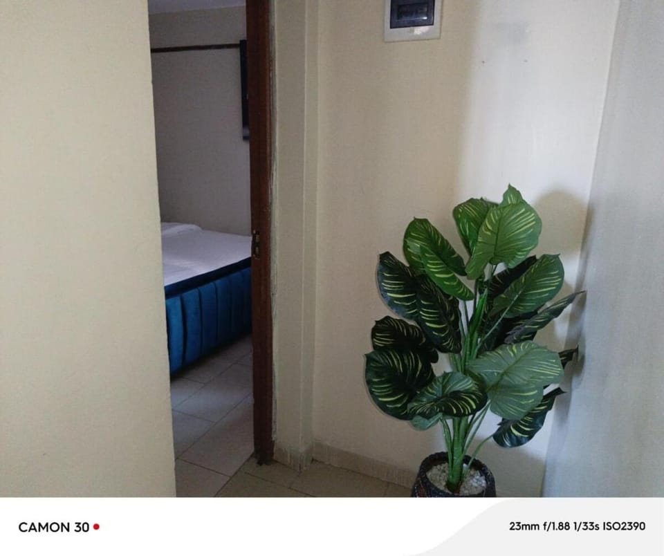 Lady D apartment Apartment in Nairobi