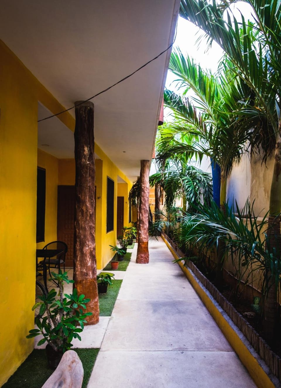 Property building, Patio, Spring, Day, Garden, Garden view, Internal: Not applicable to any particular room