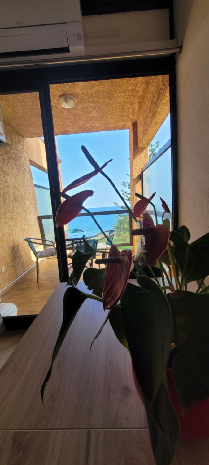 Natural landscape, View (from property/room)