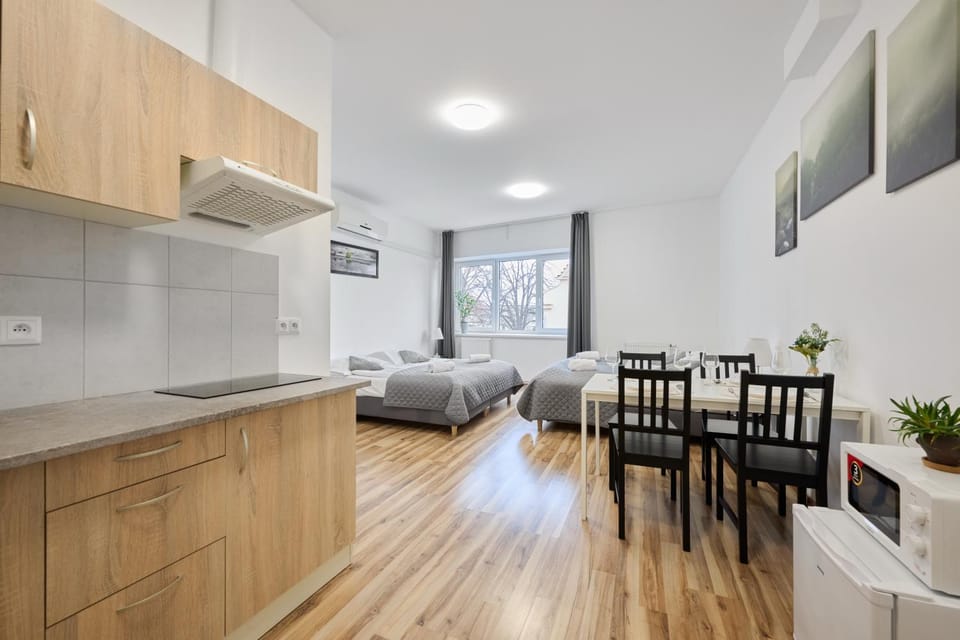 Bed, TV and multimedia, Kitchen or kitchenette, Living room, Photo of the whole room, Seating area, Dining area, Bedroom
