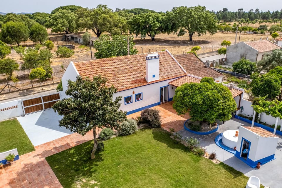 Bird's eye view, Garden, Garden view