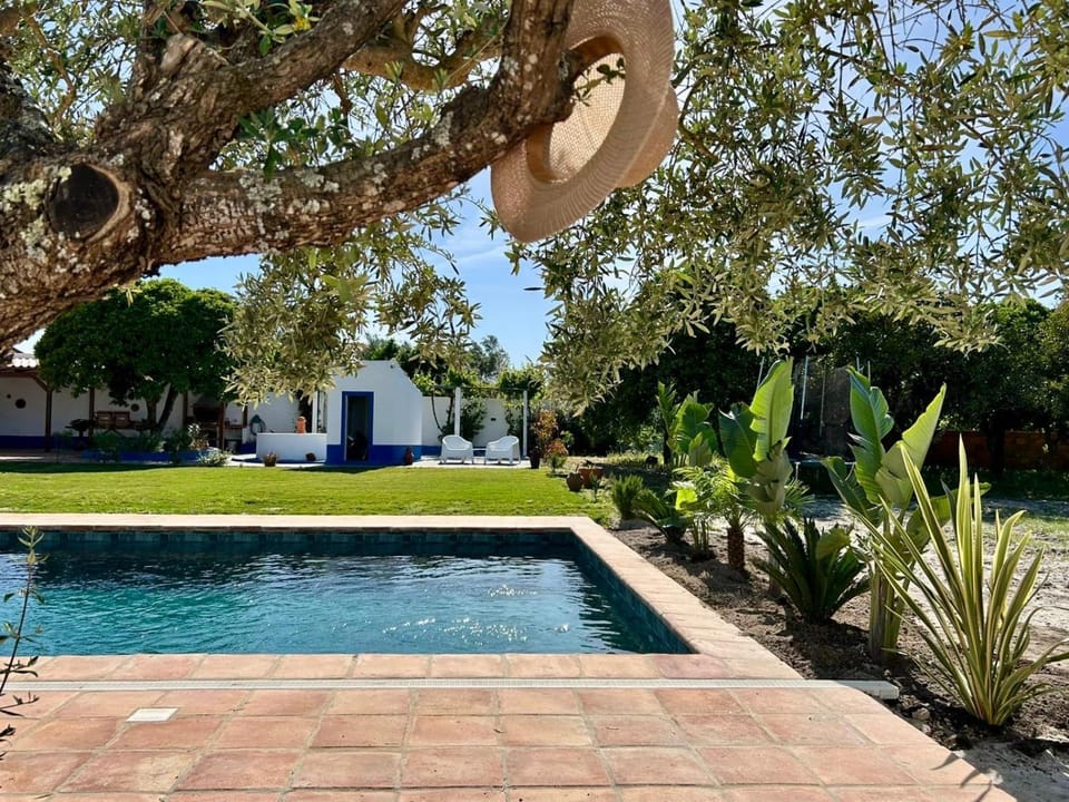 Garden, Garden view, Pool view